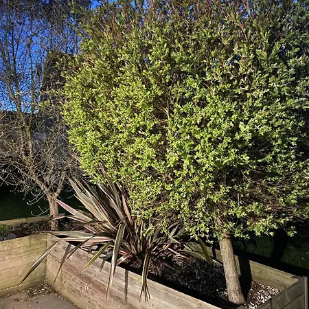 Les Hortensias * Vaucelles