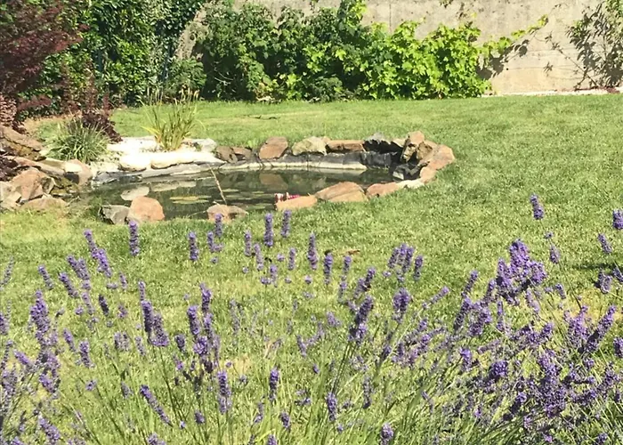 Hébergement de vacances Les Hortensias *