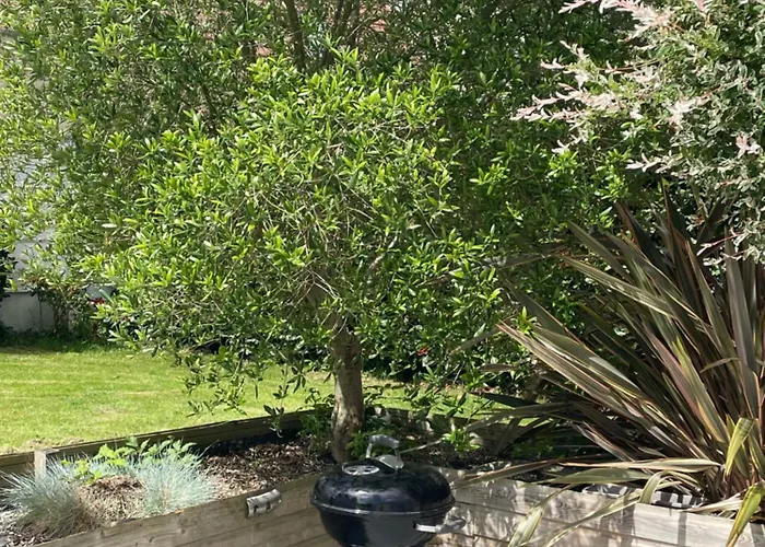 Les Hortensias Hébergement de vacances Vaucelles